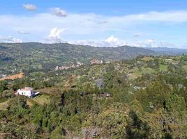  Grundstück zu verkaufen in Guarne, Antioquia, Guarne