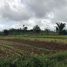  Land for sale in Claveria, Misamis Oriental, Claveria