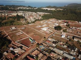  Land for sale in Chile, Tome, Concepción, Biobío, Chile