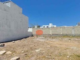  Terreno (Parcela) en venta en Zapopan, Jalisco, Zapopan, Jalisco