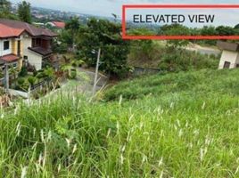  Grundstück zu verkaufen in Talisay City, Central Visayas, Talisay City