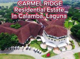  Land for sale in Laguna, Calabarzon, Calamba City, Laguna