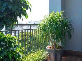 1 Phòng ngủ Căn hộ for rent in Mỹ An, Đà Nẵng, Mỹ An