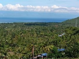  Land for sale in Alcantara, Cebu, Alcantara