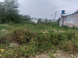  Terrain for sale in Équateur, Machala, Machala, El Oro, Équateur