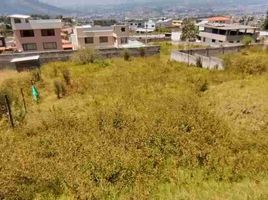  Land for sale in Conocoto, Pichincha, Conocoto