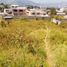  Land for sale in Conocoto, Pichincha, Conocoto