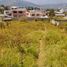  Land for sale in Conocoto, Pichincha, Conocoto