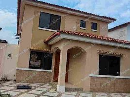 3 Bedroom House for rent in Samborondon, Guayas, Samborondon, Samborondon