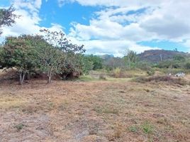  Land for sale in Nanegal, Quito, Nanegal