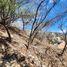  Grundstück zu verkaufen in Ixtapan De La Sal, Mexico, Ixtapan De La Sal