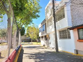 8 Habitación Villa en alquiler en Quito, Quito, Quito