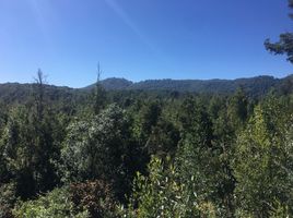 Terreno (Parcela) en venta en Chile, Puerto Montt, Llanquihue, Los Lagos, Chile