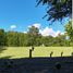  Land for sale in Chile, Pucon, Cautin, Araucania, Chile