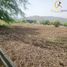  Terreno (Parcela) en venta en Colina, Chacabuco, Colina