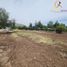  Terreno (Parcela) en venta en Colina, Chacabuco, Colina