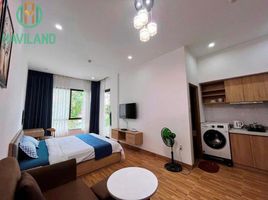 1 Phòng ngủ Chung cư for rent in Mân Thái, Sơn Trà, Mân Thái