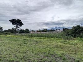  Terreno (Parcela) en venta en Imbabura, San Fco. De Natabuela, Antonio Ante, Imbabura