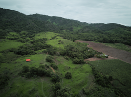  Terreno (Parcela) en venta en San Martín, Juan Guerra, San Martín, San Martín