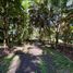  Terreno (Parcela) en venta en Bacong, Negros Island Region, Bacong, Negros Oriental