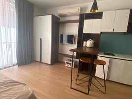 Studio Appartement for rent in Son Tra, Da Nang, An Hai Bac, Son Tra