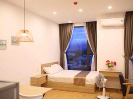 Studio Appartement for rent in Son Tra, Da Nang, An Hai Bac, Son Tra