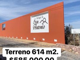  Land for sale in Lagos De Moreno, Jalisco, Lagos De Moreno