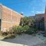  Terreno (Parcela) en venta en Salamanca, Guanajuato, Salamanca