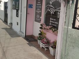 0 平米 Office for rent in Hidalgo, San Agustin Tlaxiaca, Hidalgo