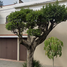 4 Bedroom House for sale in Miguel Hidalgo, Mexico City, Miguel Hidalgo, Mexico City, Mexico