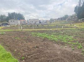  Terreno (Parcela) en venta en Cathedral of the Immaculate Conception, Cuenca, Turi, Cuenca