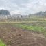  Land for sale in Turi, Azuay, Turi, Cuenca