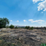  Terreno (Parcela) en venta en Irapuato, Guanajuato, Irapuato