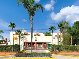 2 Habitación Apartamento en alquiler en Queretaro, Querétaro, Queretaro, Querétaro
