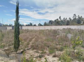  Terreno (Parcela) en venta en Malchingui, Pedro Moncayo, Malchingui