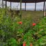 2 chambre Maison for sale in Elqui, Coquimbo, Coquimbo, Elqui