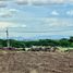  Terreno (Parcela) en venta en Calamba City, Calabarzon, Calamba City, Laguna