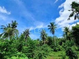  Land for sale in Bantayan, Cebu, Bantayan