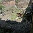  Land for sale in Hidalgo, Michoacan, Hidalgo