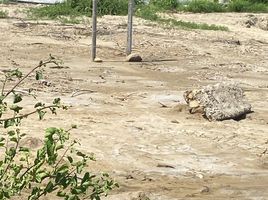  Terreno (Parcela) en venta en Playa Puerto Santa Lucia, Jose Luis Tamayo (Muey), Salinas