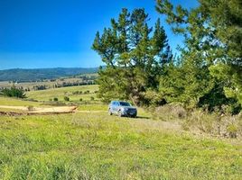  Land for sale in Cardenal Caro, Libertador General Bernardo Ohiggins, Paredones, Cardenal Caro