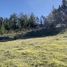  Land for sale in Cardenal Caro, Libertador General Bernardo Ohiggins, Paredones, Cardenal Caro