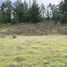  Land for sale in Cardenal Caro, Libertador General Bernardo Ohiggins, Paredones, Cardenal Caro