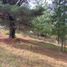  Land for sale in Cardenal Caro, Libertador General Bernardo Ohiggins, Paredones, Cardenal Caro