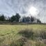  Land for sale in Cardenal Caro, Libertador General Bernardo Ohiggins, Paredones, Cardenal Caro