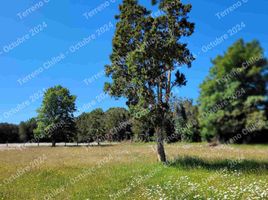  Land for sale in Los Lagos, Curaco De Velez, Chiloe, Los Lagos