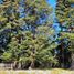  Land for sale in Los Lagos, Curaco De Velez, Chiloe, Los Lagos