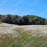  Land for sale in Los Lagos, Curaco De Velez, Chiloe, Los Lagos