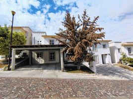 Appartement 3 chambre à louer à Queretaro, Queretaro, Queretaro, Queretaro