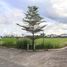  Land for sale in Pampanga, Central Luzon, Angeles City, Pampanga